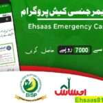 Ehsaas Kafalat Program Online Registration 2023 -24