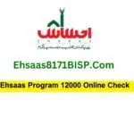 Ehsaas Program 12000 Online Check