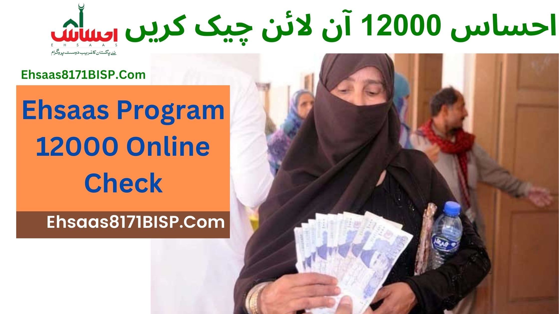 Ehsaas Program 12000 Online Check