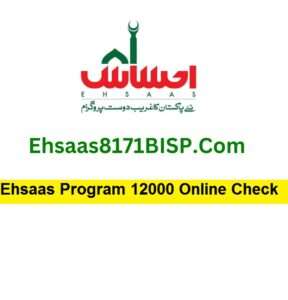 Ehsaas Program 12000 Online Check