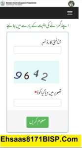 Ehsaas Program Cnic Check Online