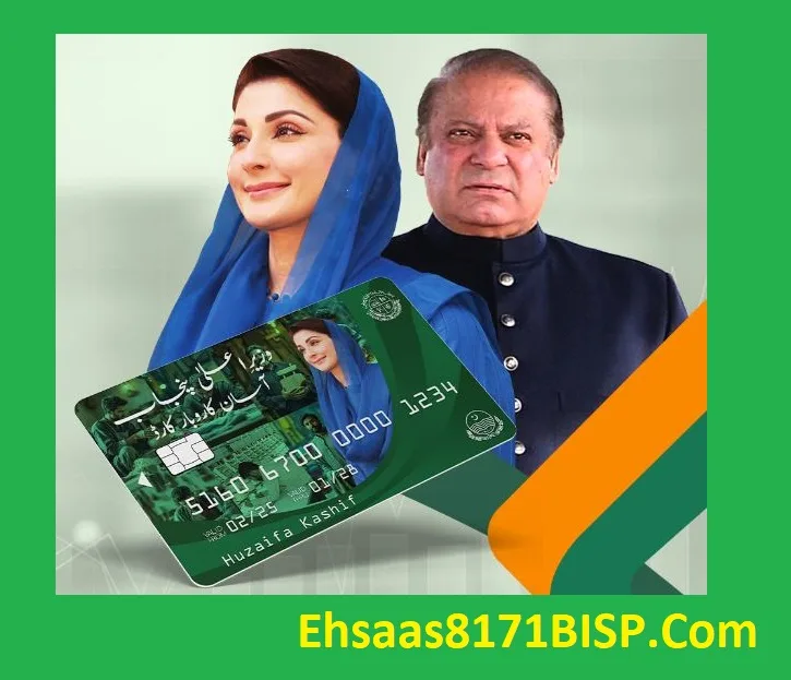 CM Punjab Assan Karobar Card