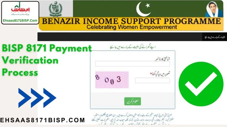 BISP 8171 Payment Verification Process