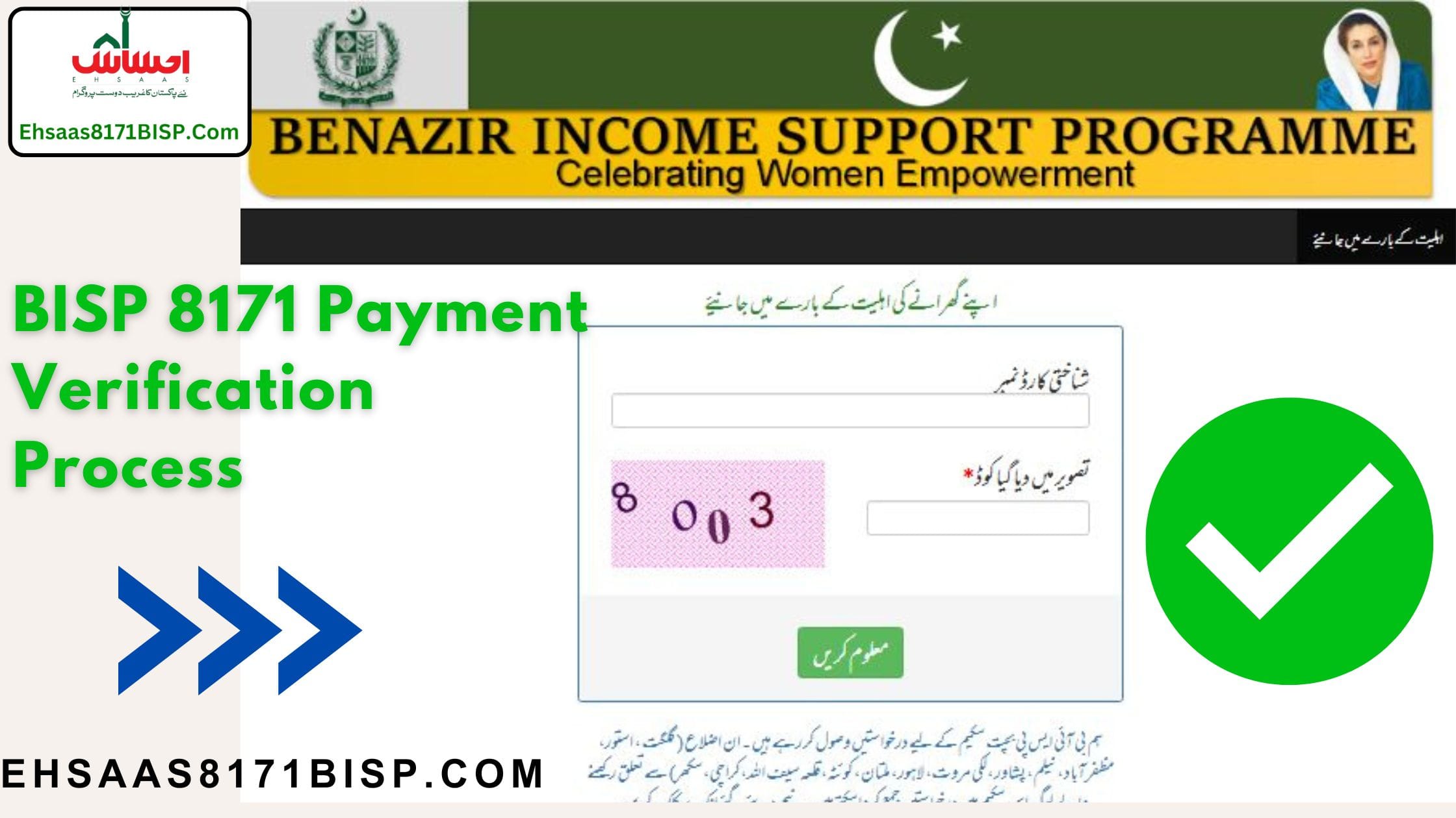 BISP 8171 Payment Verification Process