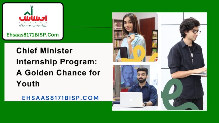 Chief Minister Internship Program