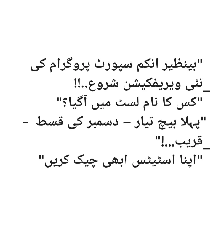 BISP December 2025 Verification Update